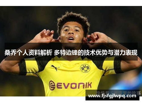 桑乔个人资料解析 多特边锋的技术优势与潜力表现
